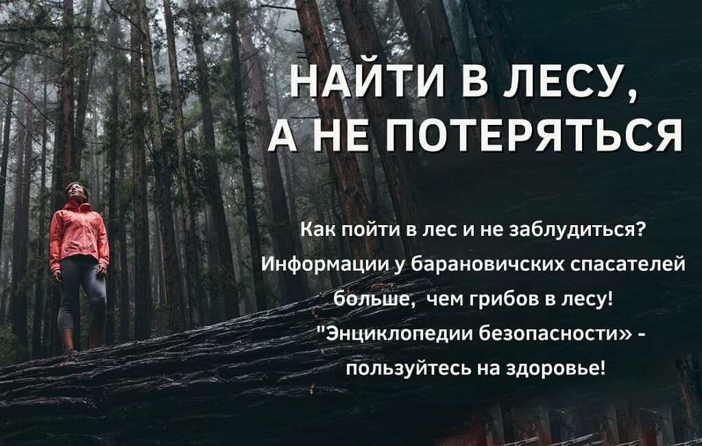 Как не заблудиться в лесу Барановичи